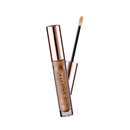 Instyle Lasting Finish Concealer